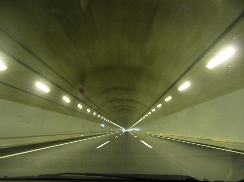 �V����,���}����IC,�g���l��,�摜