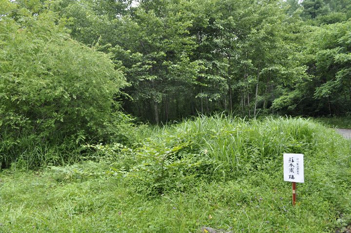 �X�ѓS��,�ѓS,��z,�p����,�h����,���쐻�i���Ə�