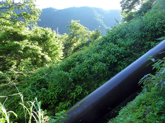 ������_��,�L���ѓ�,�������