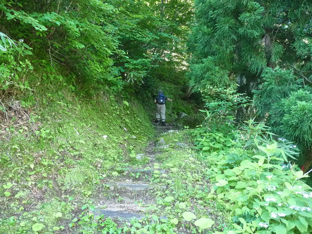 �L���ѓ�,�g���l��,詓�