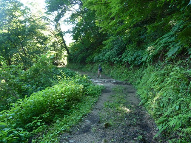 �~�G����,�L���ѓ�,�g���l��,詓�