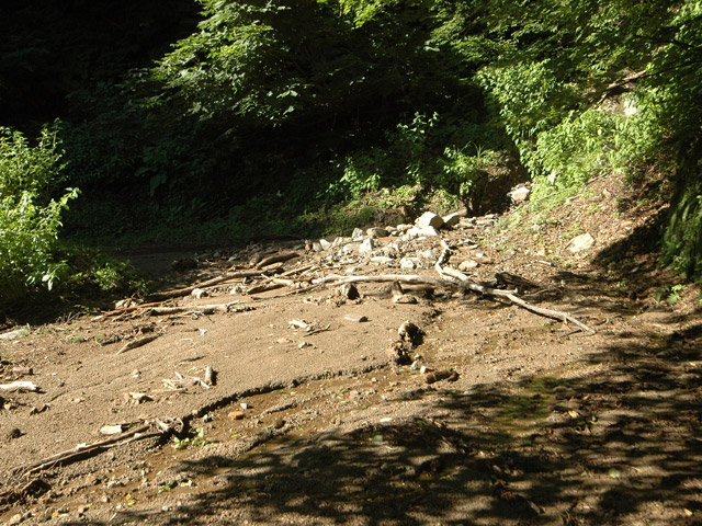 �L���ѓ�,�g���l��,詓�