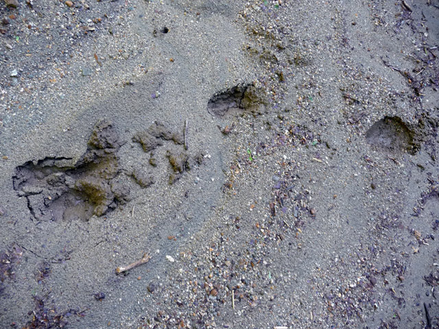 �L����񔭓d��,�L���ѓ�,������_��,�k���d��