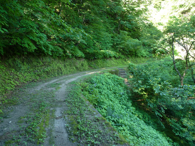 �L����񔭓d��,�L���ѓ�,������_��,�k���d��