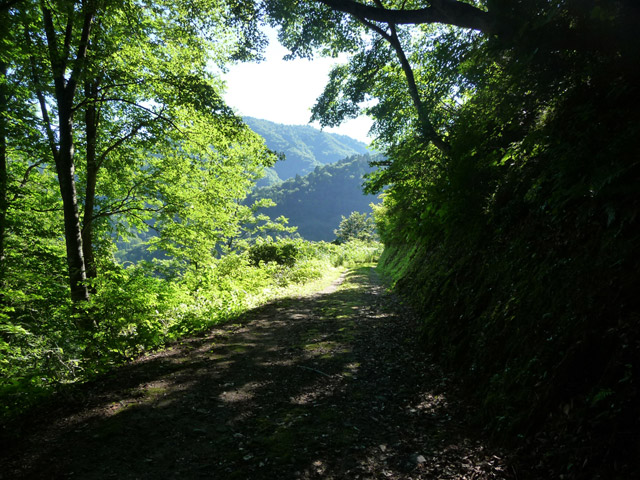 �~�G����,�L���ѓ�,�g���l��,詓�