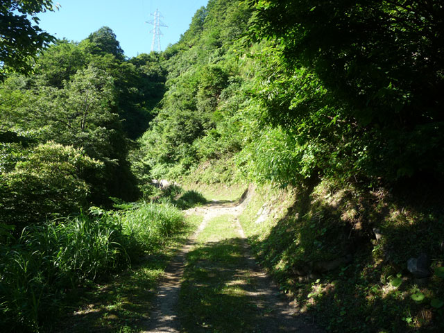 �L���ѓ�,�g���l��,詓�