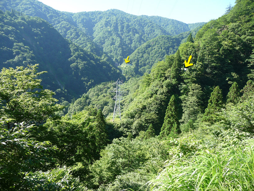 �L����񔭓d��,�L���ѓ�,������_��,�k���d��