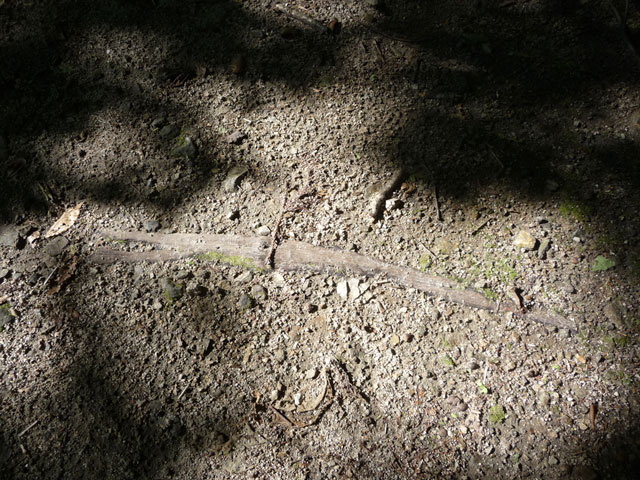 �~�G����,�L���ѓ�,�g���l��,詓�