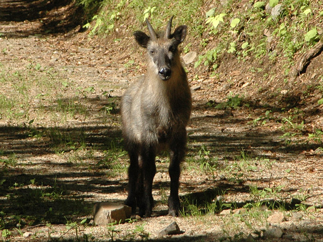 �L����񔭓d��,�L���ѓ�,������_��,�k���d��