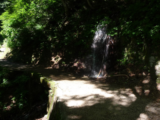 �L����񔭓d��,�L���ѓ�,������_��,�k���d��