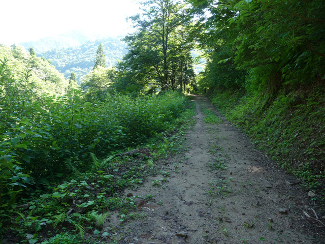 �L���ѓ�,�g���l��,詓�