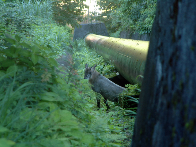 �L����񔭓d��,�L���ѓ�,������_��,�k���d��