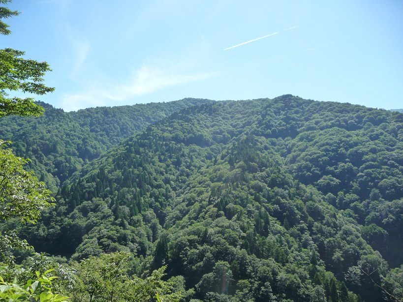 ������O��,�������ݎ��މ^����,�����i���[,�g���b�R,�S��