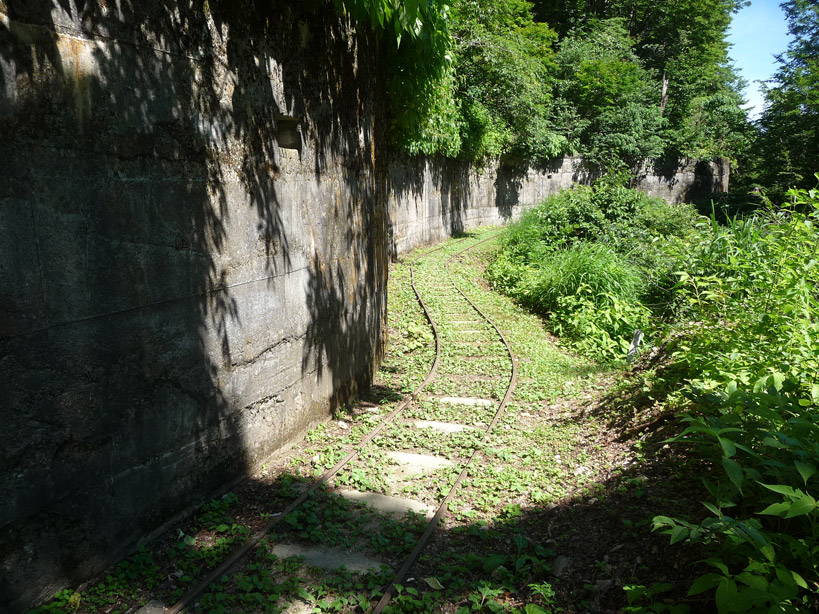 ������O��,�������ݎ��މ^����,�����i���[,�g���b�R,�S��