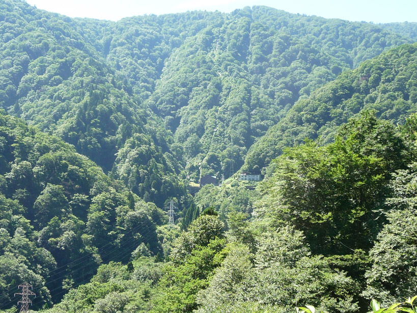 ������O��,�������ݎ��މ^����,�����i���[,�g���b�R,�S��