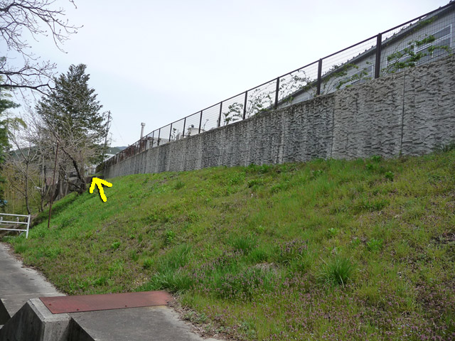 �X�ѓS��,�ѓS,�㏼,�p����,���؏�,�y��