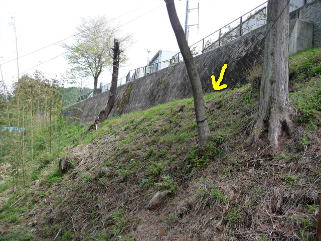 �X�ѓS��,�ѓS,�㏼,�p����,������