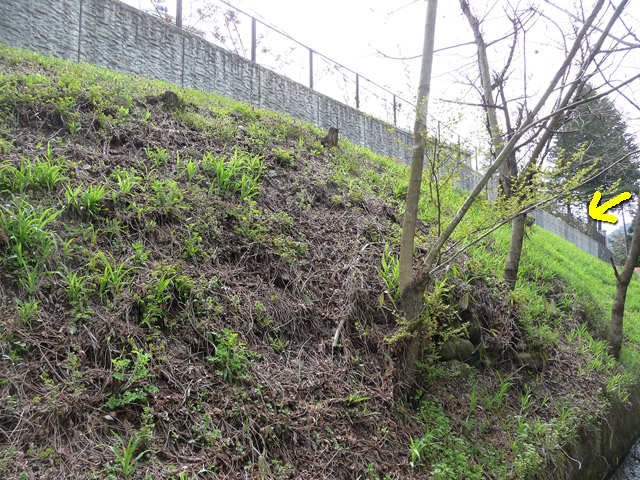 �X�ѓS��,�ѓS,�㏼,�p����,������