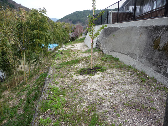 �X�ѓS��,�ѓS,�㏼,�p����,������,����