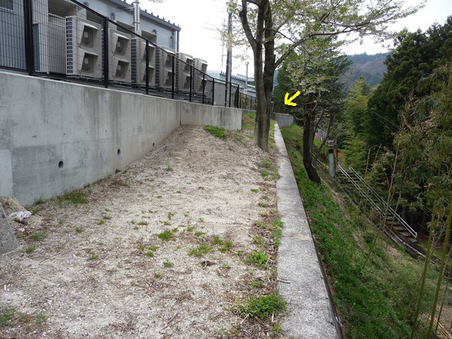 �X�ѓS��,�ѓS,�㏼,�p����,������,����