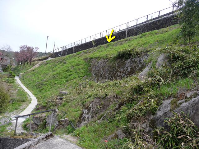 ����,�������؏��,�ѓS,�p����,�ؑ]�X�ѓS��