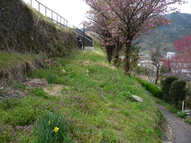 �㏼,�������؏��,�ѓS,�p����,�ؑ]�X�ѓS��