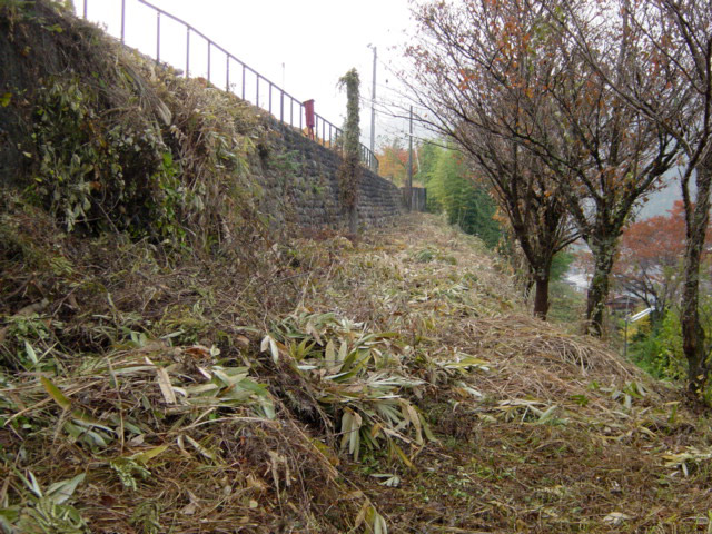 �㏼,�������؏��,�ѓS,�p����,�ؑ]�X�ѓS��