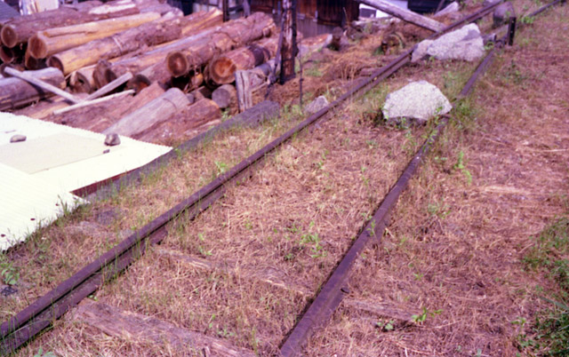 �ؑ]�X�ѓS��,�㏼,�ѓS,�p����,�������ݐ�,����,�������؏��,���[���c��