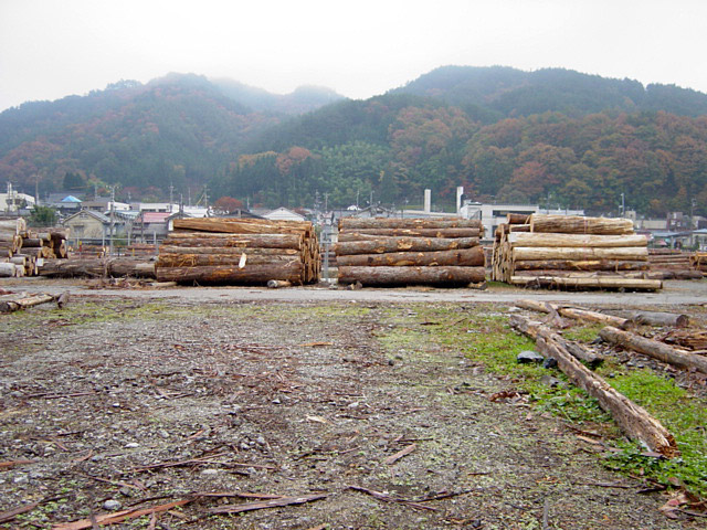 �㏼�����؏�,�X�ѓS��,�ѓS,�y��,�p����