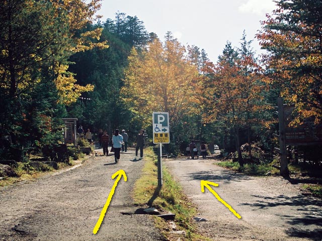 ���V�[���ݐ�������