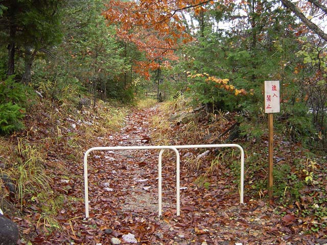 ���V�[���ݐ�������