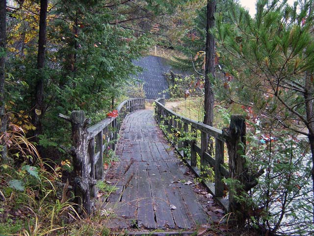 ���V�[���ݐ�������