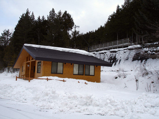 ���V�[���ݐ�������