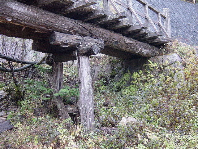 ���V�[���ݐ�������