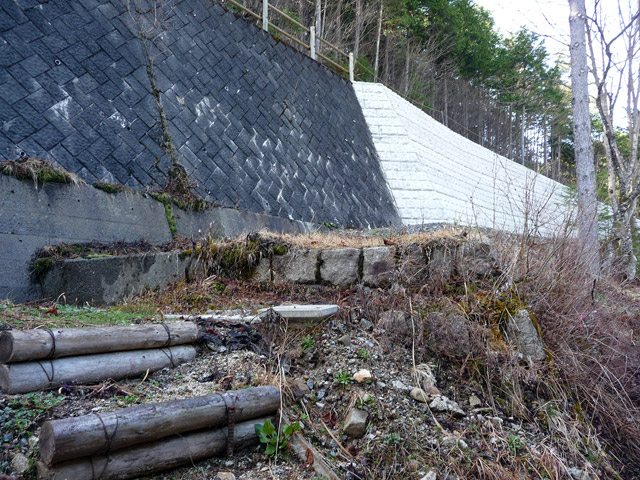 ���V�[���ݐ�������