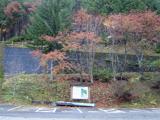 ���V�[���ݐ�������