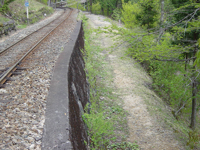 ���V�[���ݐ�������