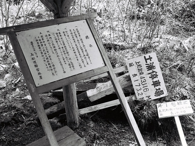 ���V�[���ݐ�������