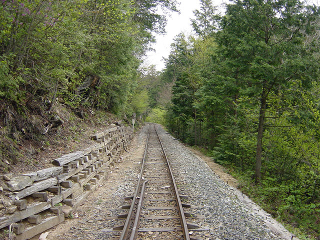 �ԑ�X�ѓS��,�ԑ򎩑R�x�{��,