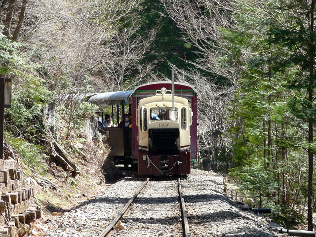 �ԑ�X�ѓS��,�ԑ򎩑R�x�{��