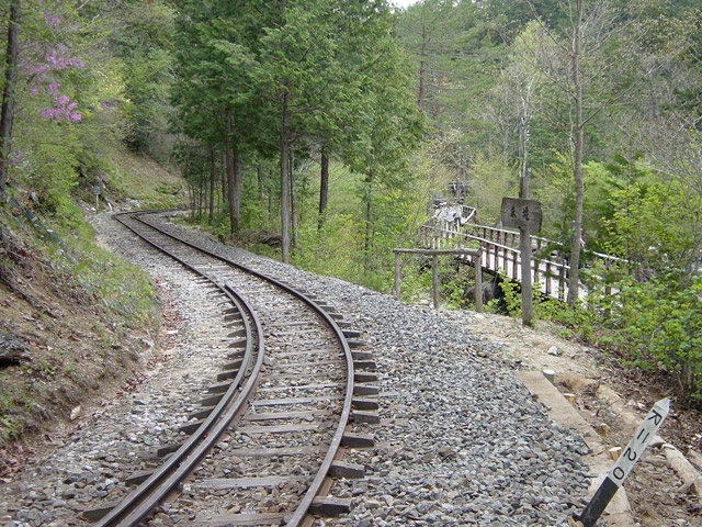 �ԑ�X�ѓS��,�ԑ򎩑R�x�{��