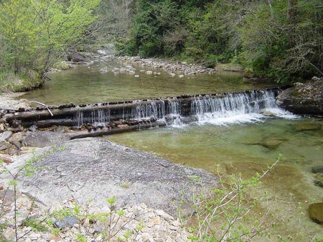 �ԑ�X�ѓS��,�ԑ򎩑R�x�{��