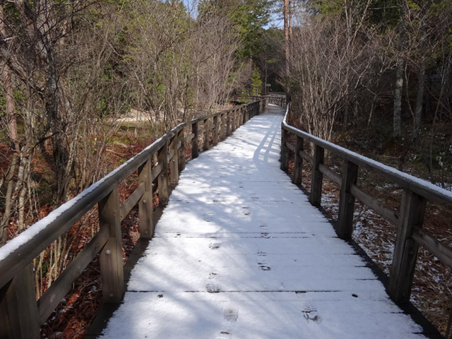 �ԑ�X�ѓS��,�ԑ򎩑R�x�{��