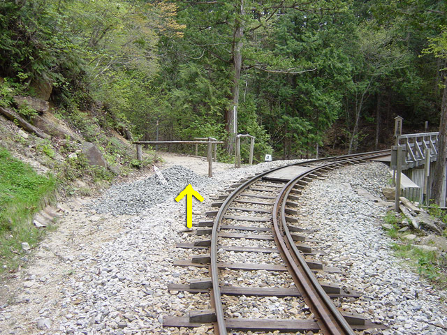 �ԑ�X�ѓS��,�ԑ򎩑R�x�{��,