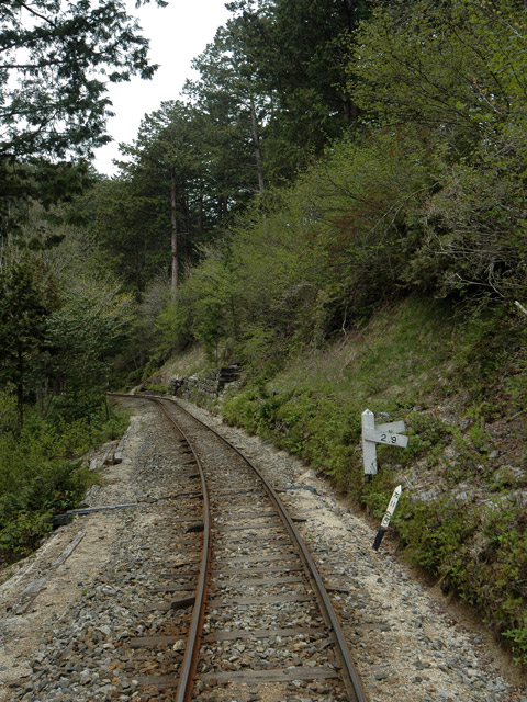 �ԑ�X�ѓS��,�ԑ򎩑R�x�{��.�ؑ]�X�ѓS��,�ѓS,�p����