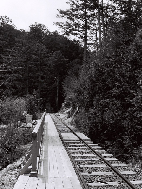 �ԑ�X�ѓS��,�ԑ򎩑R�x�{��.�ؑ]�X�ѓS��,�ѓS