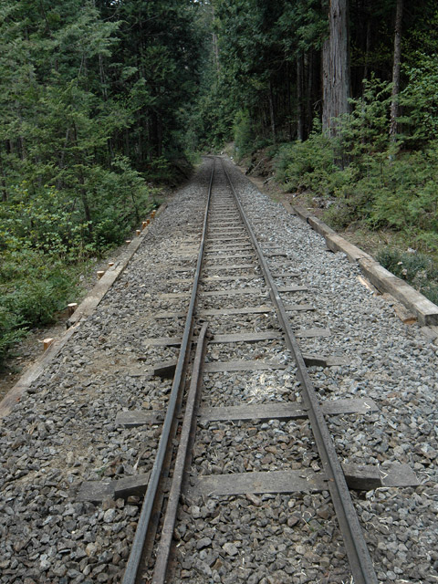 �ԑ򎩑R�x�{��,�ؑ\�X�ѓS��,�ѓS