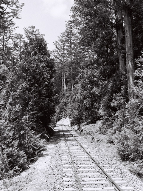 �ԑ򎩑R�x�{��,�ؑ]�X�ѓS��,�ѓS