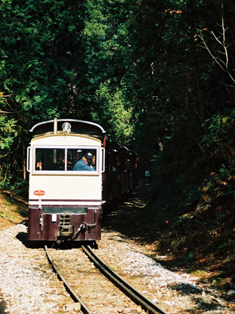 �ԑ�X�ѓS��,�ѓS,���싴