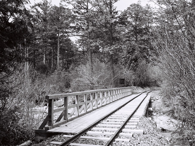 �ԑ�X�ѓS��,�ԑ򎩑R�x�{��,�ѓS,���싴